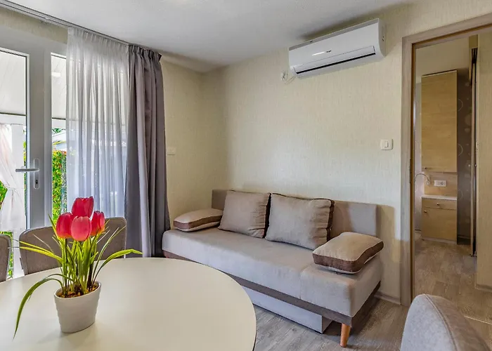 Mobile Luxury Premium-3 By Interhome Dom wakacyjny